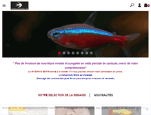 Tablet Screenshot of monpoissonexotique.com